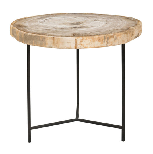 Riley Petrified Wood Table, Large