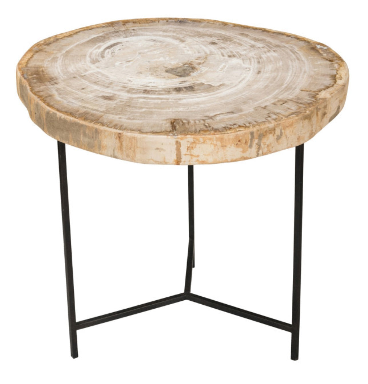 Riley Petrified Wood Table, Large