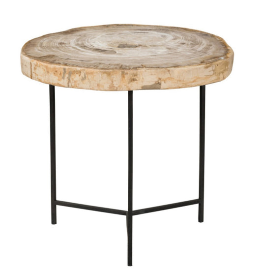 Riley Petrified Wood Table, Medium